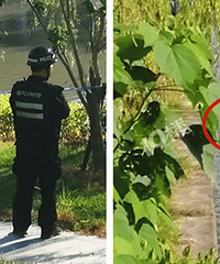 �峿ͻ���������������﷢��ʬ��һ��