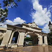 �Ǳ����бƸ�¥�̽���