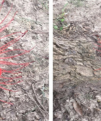 �����ʲô����Ҳ̫Ư����