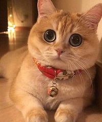 ����MM ���幤�� �������� �Ҵ�������к�