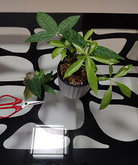 �������ˣ�����Ҫ���޲��������޼�����