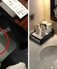 500��һ���ľƵ� ��������һֻ������