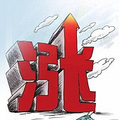 �׿���˹�������