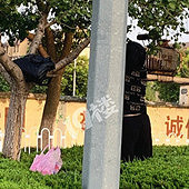 û���ʵ�Ů���ƻ��̻�