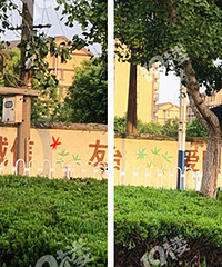 Ϊ͵�׹���Ů����Ŀ�����ƻ��̻�