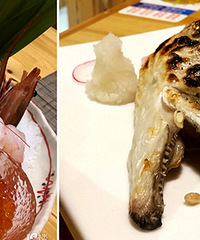 ÿ�춼��Ѱ�ҺóԵ����� ���ζ��...