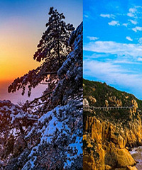 ������ڼ��˸���ȥ���棿��ϸ��������