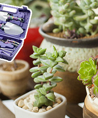 ԰�տ���������ʦ�ֳ���ѧ �ֳ�����԰����װ