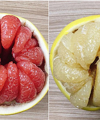 �����İ������� ���ϵڶ� ˭�ϵ�һ