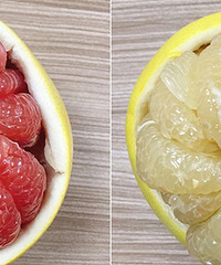 �����İ������� ���ϵڶ� ˭�ϵ�һ