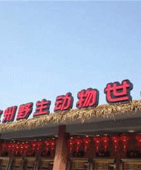 ����ȥ����Ұ������԰ ��è̫����