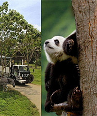 �������ȥ����Ұ������԰ ���ʹ���Ϸ��