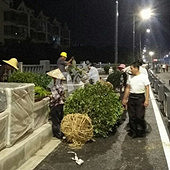 ���˵Ľ�������������