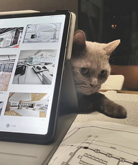 ����С��絥�� ֻ��һֻèè���ҹ��