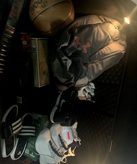 ����С��絥�� ֻ��һֻèè���ҹ��