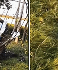 ��̥�����ˣ��⿭��ײ��̫��