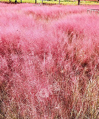 ����ȥ�򿨣�������Ƭ���컨�ֿ���