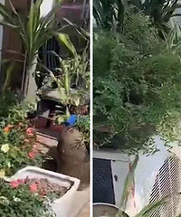 �����ˣ����ſڵĻ����챻͵