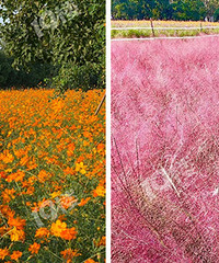 ����ȥ�򿨣�������Ƭ���컨�ֿ���