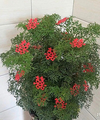 ���˼�˵����ġ�ϲ����һ��Ҫ��