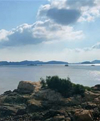 ���Ӿ����ģ�����������������