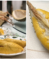 ���˸�èɽ������ ������5���� ��Ŵ��