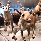 ���Ϻ���Ȼ�����