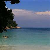 ��������ˮ�̵����۾�