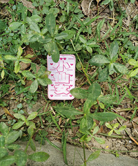 �����ڲݴ��е�С��Ů