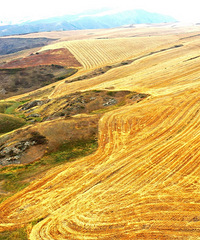 һ�������˵����ϼ������������ĵط������˴�����ʲô����