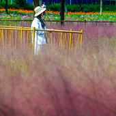 �����Ҳ�������