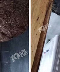 �־壡����ĳС��������ˮ����С��������