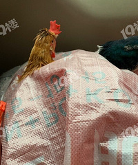 ����Ҫ�ϰ�ĺ����˲���������ұ���һ���������������