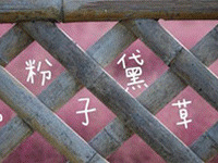 �����ӻ��������ˣ� �����޻���