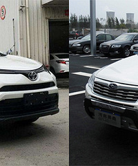 ���ᣡ��Ҫ���� ���ٷź�ɭ����֮��ҡ�ڲ���...