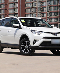 �뻻�� ���ٷź�ɭ����֮��ҡ��