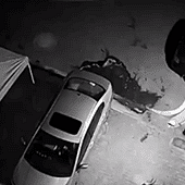 �����ŵ�С͵������