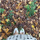 ��������û����