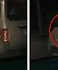 �ţ���ʻ�������������