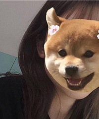 �����һ����vlog Ը��ȶ�������