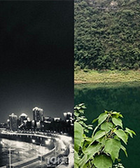 ��ˮī���� ������ʳ��ҹ����������