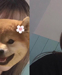 �����һ����vlog Ը��ȶ�������