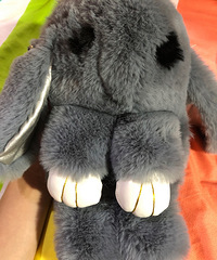 ������������ÿɰ������ӱ���