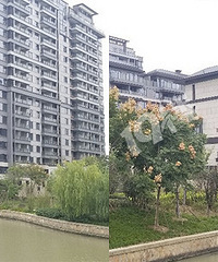 ϡȱ�������ҵ����������ϼܿ���