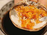 ���������������������ʹ�բз�ģ�