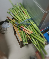小时候有没有吃过这个!方言叫啥来着 “典馊甘”?