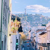 ����������������