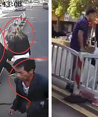 36�룡���ȫ��������Ⱥ������