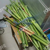 ���������������