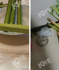 ���������������ͯ��Ļ��䣡